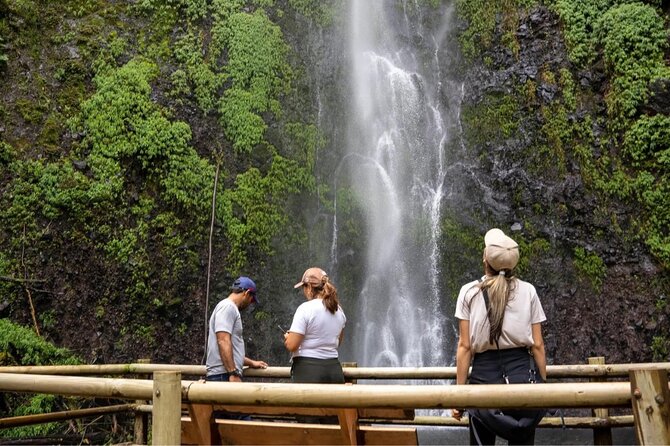 Trekking/Hiking Yarumo Blanco Waterfall From Pereira or Armenia - Directions