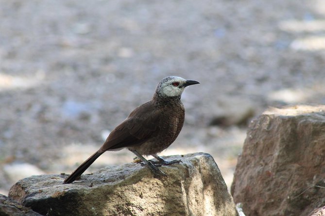 Trekking in Ethiopias Lalibela Wollo Highland 5 Days / 4 Nights
