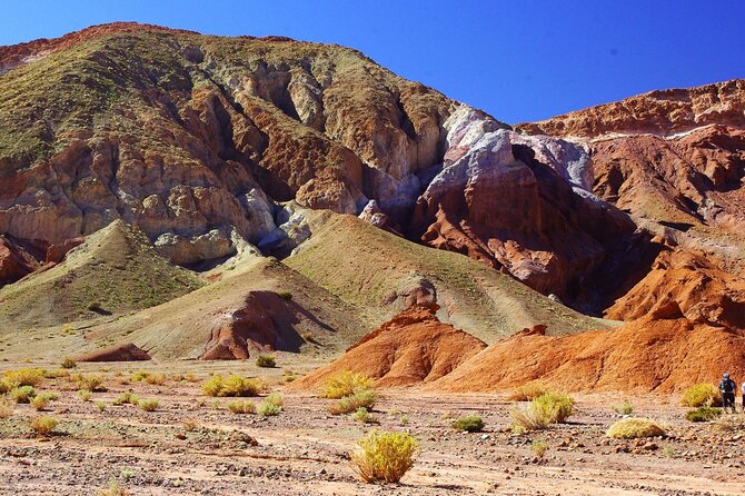 Trekking Rio Salado From San Pedro De Atacama - Whats Included in the Tour