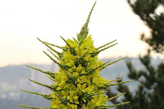 Trekking Trekking Quirilluca - Meeting and Pickup Details