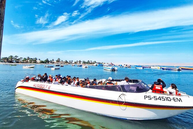 Trip and Tour to Paracas, Huacachina and Winegrowers