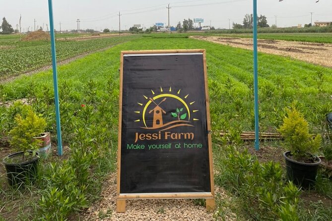 Trip to Cairo Countryside With Authentic Food Tour - Tour Highlights