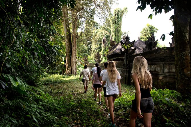 Tropical Trekking Tour From the Old Hindu Village - Taro Ubud - Inclusions Provided in the Tour