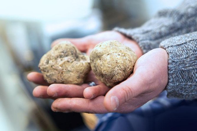 Truffle Hunting & Wine Tasting In Istria (private V.i.p. Tour) - Pickup Locations