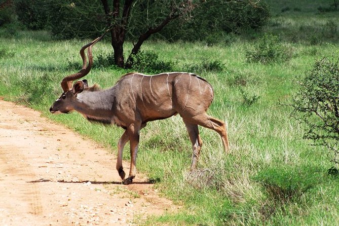 Tsavo East & West National Park 3 Days From Mombasa. - Accommodation Details