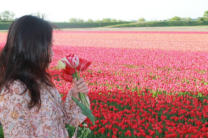 Tulipsfields Sightseeing - Inclusions and Features