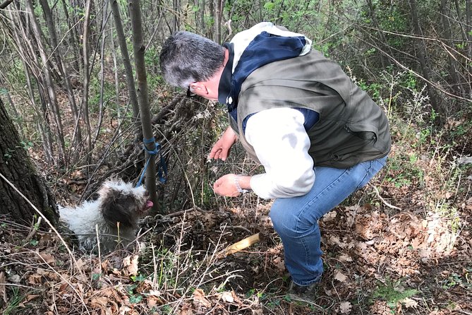Tuscan Walk and Hunt for Truffles - Truffle Hunt Experience