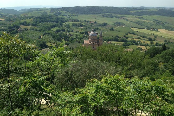 Tuscan Wines Tour - Montalcino and Montepulciano (or Pienza) - Winery Visits