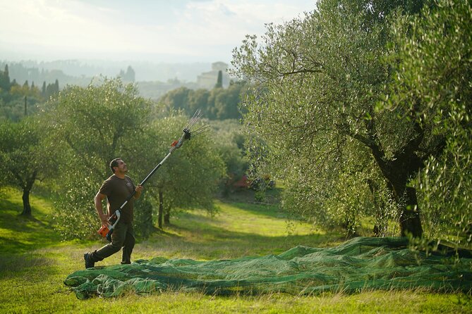 Tuscany Olive Oil Coffee & Wine Small Group Tour From Florence - Price and Inclusions