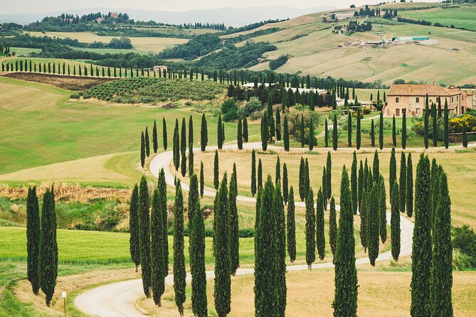 Tuscany Wine Tour - Pickup Information