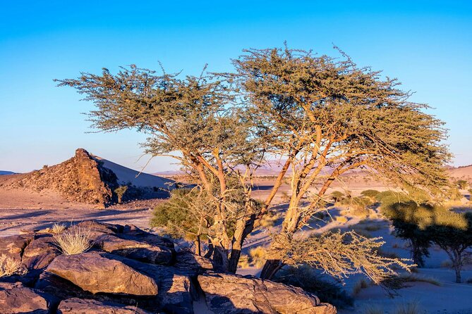 Two Day Tour With Overnight Desert Camp Experience From Agadir - Meals and Services Included