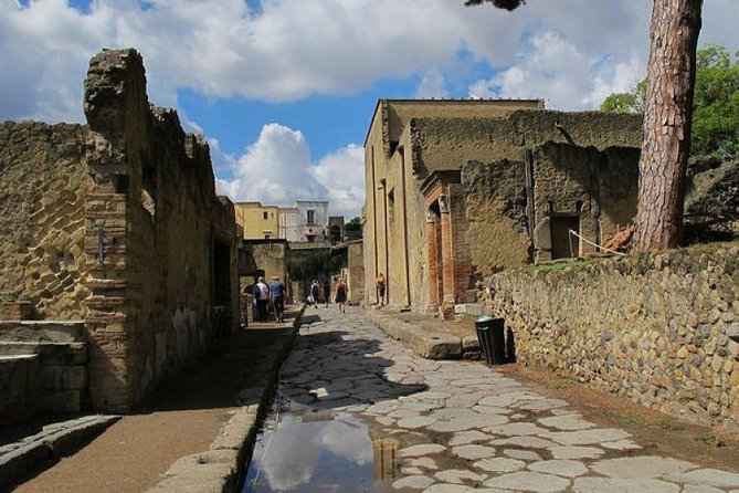 Two-Hour Guided Tour of Herculaneum With an Archaeologist - Guide Information