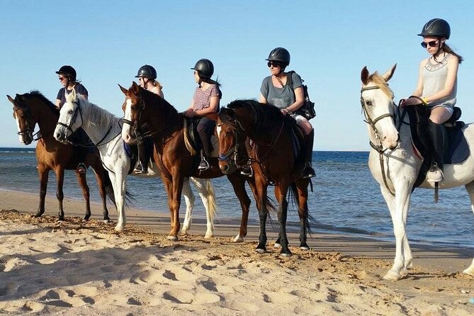 Two Hours Horse Riding With Transfer From Hurghada All Fees Paid - Location and Duration