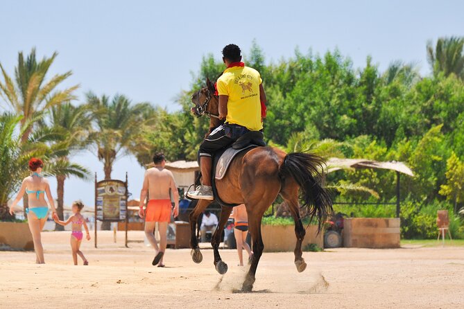 Two Hours Horse Riding With Transportation Hurghada - Pickup Information