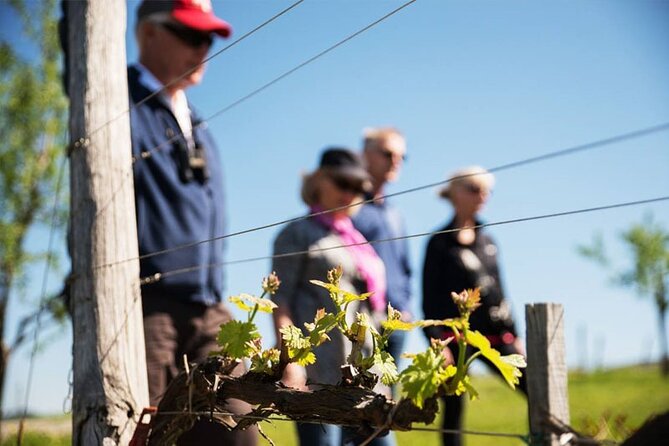 Two Wine Regions Within A Day - Tour Highlights