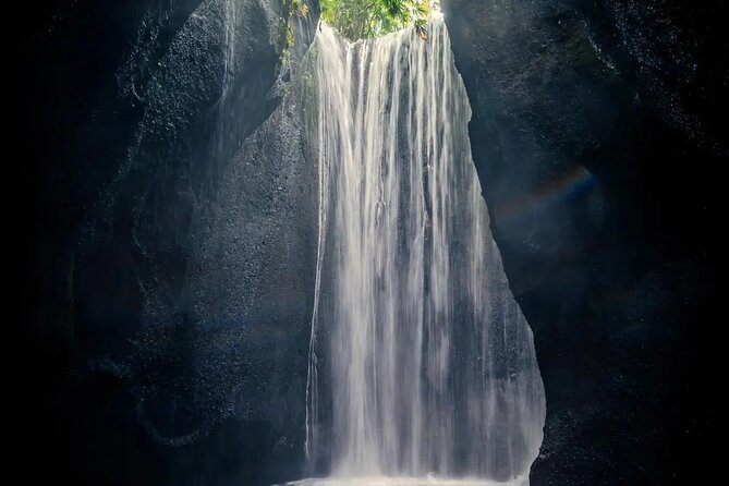 Ubud Full Day Highlights Guided Tour-All Inclusive - Inclusions