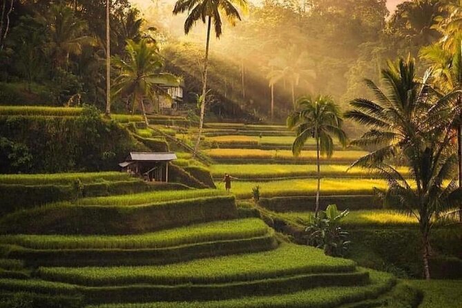 Ubud Highlight Private Tour With Transfer - Pickup Points
