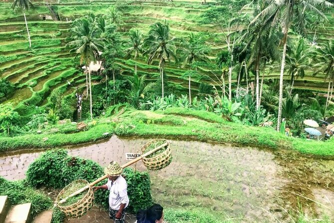 Ubud & Middle East Tours in Bali - Pickup Information