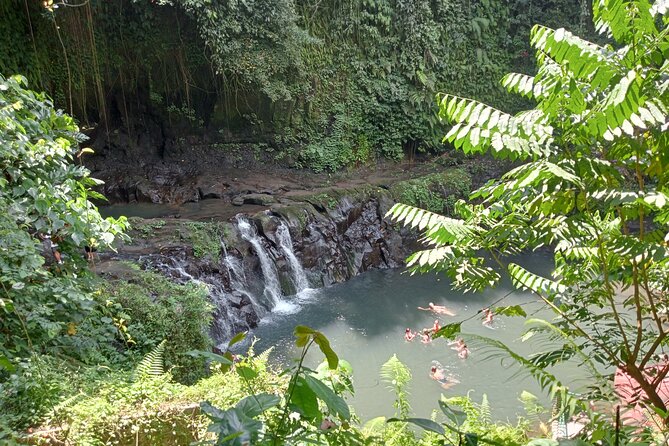Ubud Tamansari Natural Pool Bali Swing Private Guided Tour - Tour Highlights