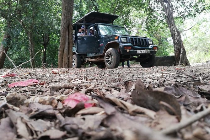 Udawalawa Safari Tour - All Inclusive Day Tour (Group) - Pickup Information