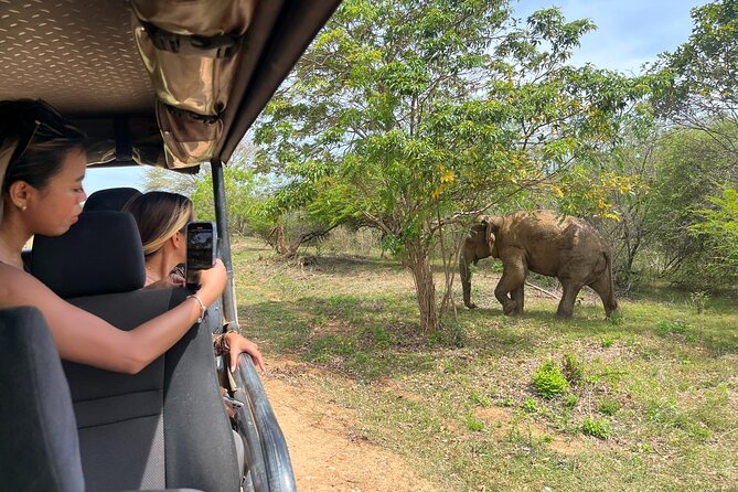 Udawalawe National Park Safari From Hambantota - Additional Safari Information