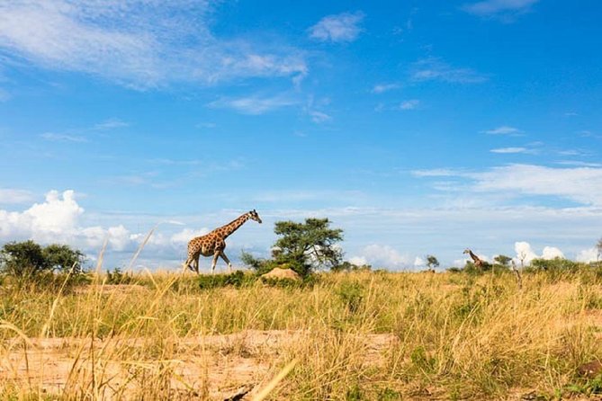 Uganda: 10-DAY Mid-Range Wildlife, Big-Five, Gorilla Safari - Included Amenities