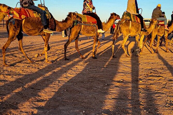 Ultimate Agafay Desert: Quad+Camel Rides +Sunset Dinner Show - Pricing and Offers