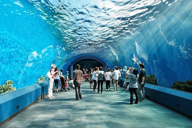 Underwater World at Pattaya Admission Ticket With Return Transfer