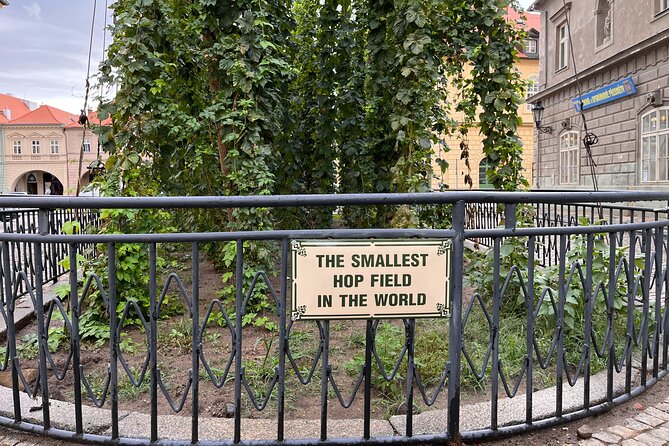 UNESCO ŽAtec the Town Where Beer Is at Home Day Trip - Pickup Information