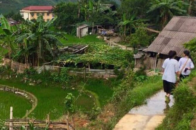 Unforgettable Trekking Experience 6 Hour in Sapa - Highlights of the Trekking Experience