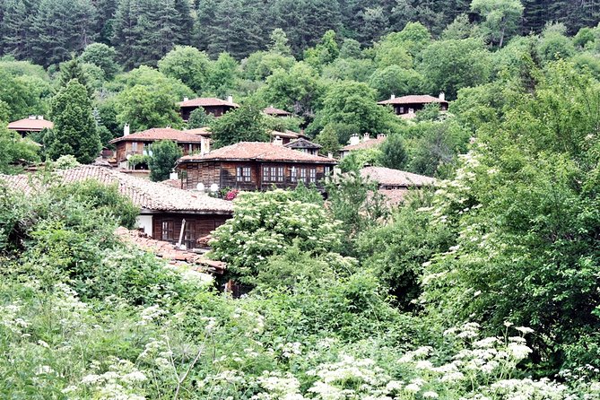 Unique & Tasty Bike Tour in the Balkans - Sample Menu Highlights