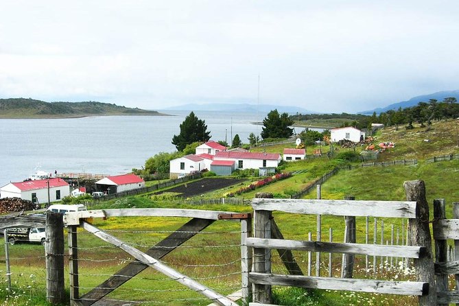 Unique Tour to Beagle Channel & Pinguins Sighting