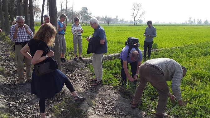 Urban Farm Trip Amritsar - Farm Experience Details