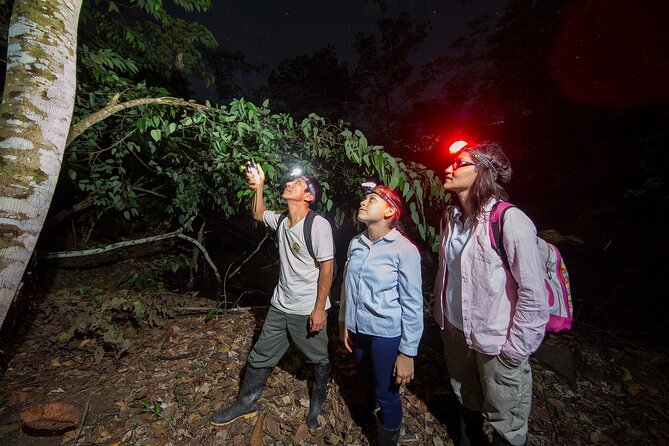 Uvita: Nature and Wildlife Night Tour in Tropical Forest -Private - Meeting Location Details