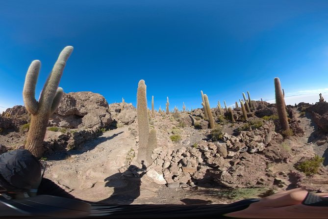 Uyuni FULL DAY! PRIVATE! - Inclusions and Amenities