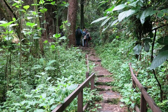Vicacha Trail – San Francisco