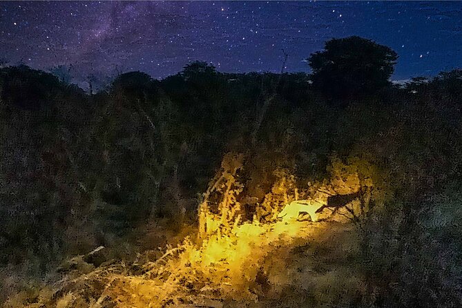 Victoria Falls: Twilight 4×4 Safari