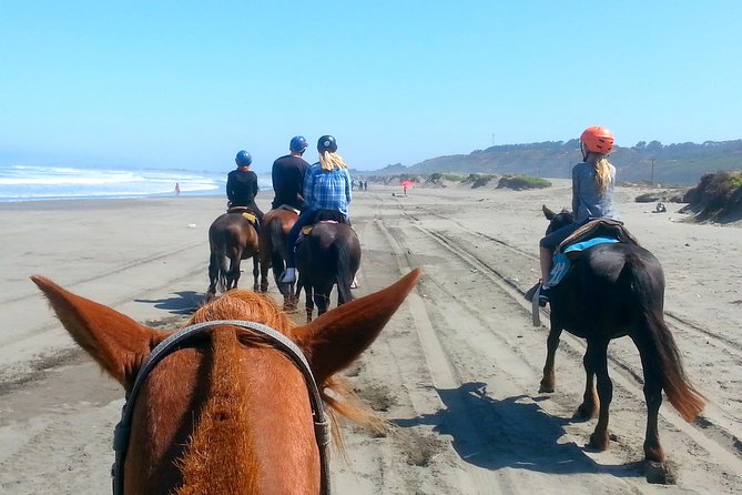 Viña Del Mar and Valparaiso Private Tour Including Horseriding - Inclusions and Exclusions