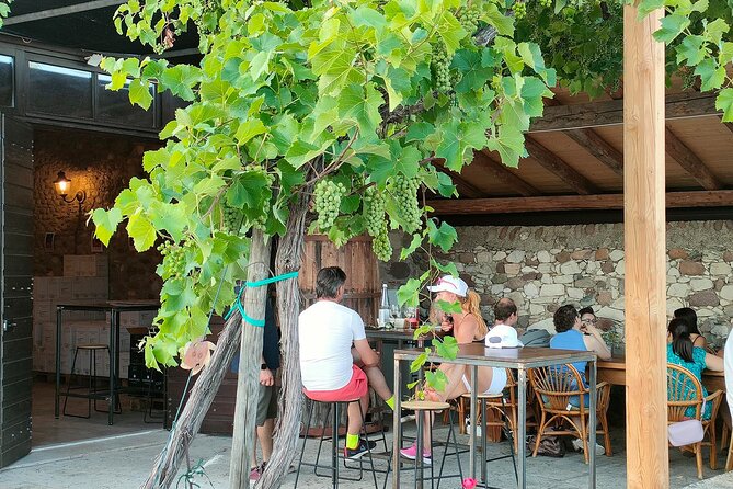 Vineyard Tour and Wine Tasting in Cavaion Veronese - Whats Included in the Tour