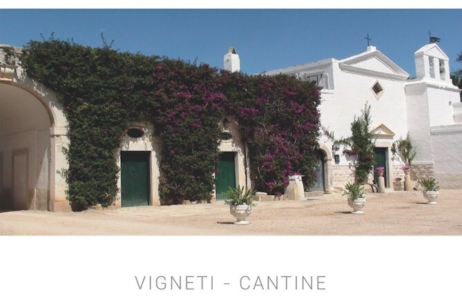 Vineyard Wine Tasting & Soft Lunch & Transfer Included - Culinary Delights