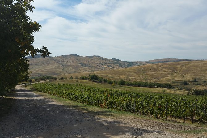 Vineyards and Wine Tasting Experience - Availability and Booking