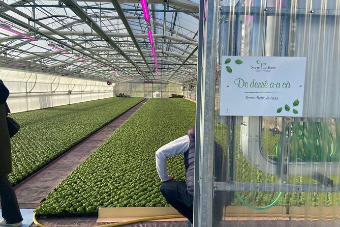 Visit the Basilic Greenhouses and Taste Pesto in Genova Prà - Meeting and Pickup