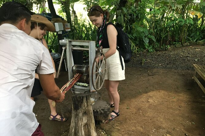 Visit to the World of Bees in Alajuela - Meeting Location