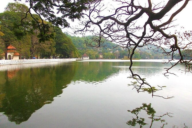 Visit Unique Sites in Kandy Private Day Tour; Solo; Small Group - Itinerary Overview