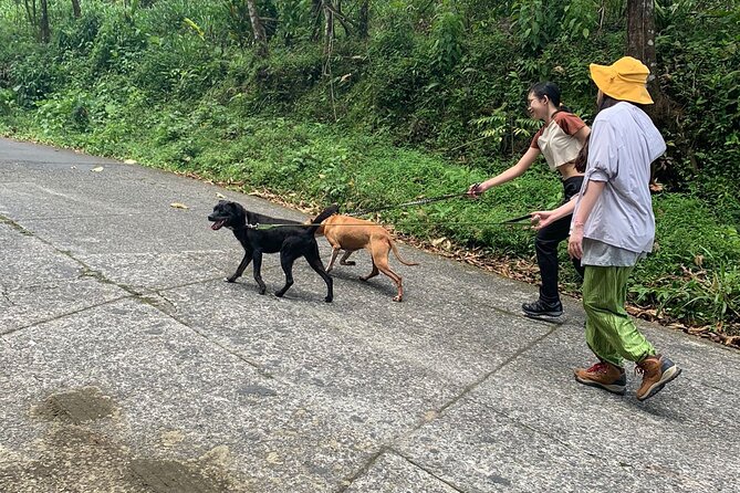Volunteer at CR Dog Rescue - Price