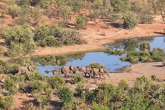 Vulture Safari Tour in Victoria Falls National Park Zimbabwe - Pickup Details