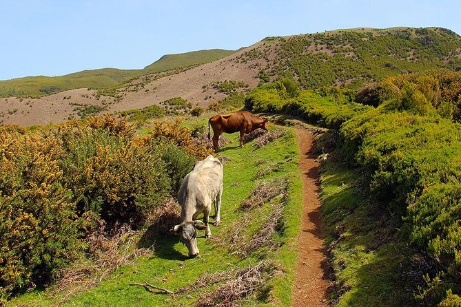 Walk - Madeira Lakes - Scenery Highlights