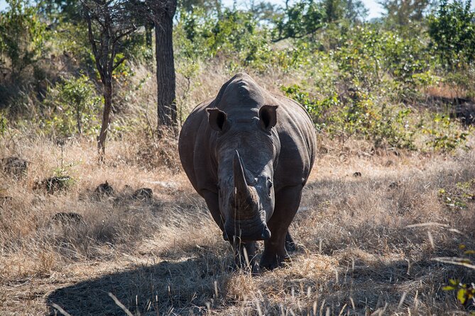 Walking Safari - Important Booking Information
