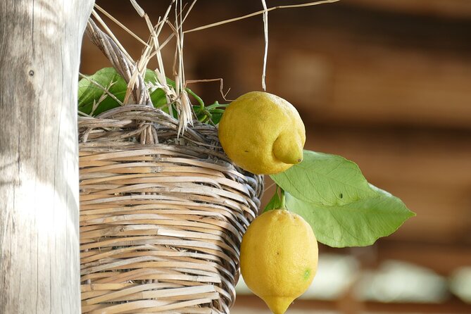 Walking Tour Wine Tasting and Typical Products in Sorrento Farm - Farmer-Led Tour Experience