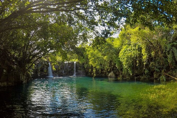 Waterfalls Tour in Mauritius With Private SUV Car and Lunch - Amenities Included